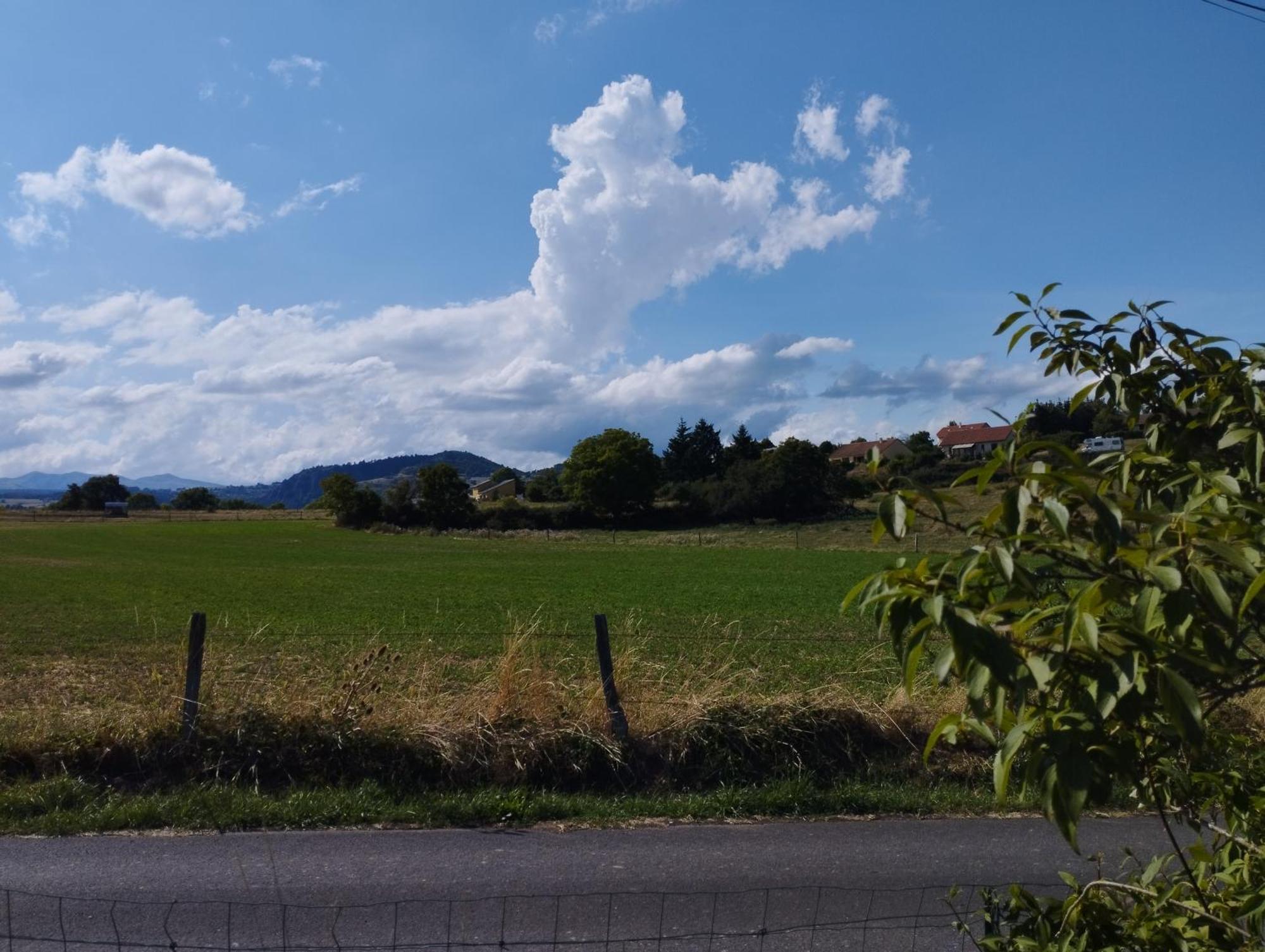 Chalet Les Adrets Du Sancy Saint-Diery ภายนอก รูปภาพ